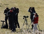 Lauwersmeer